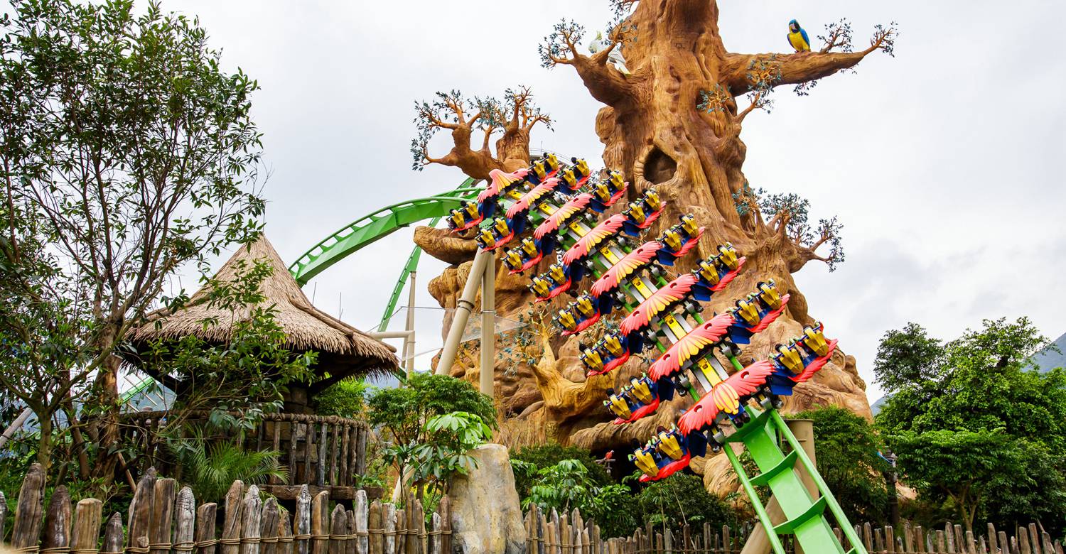 Parrot Roller Coaster