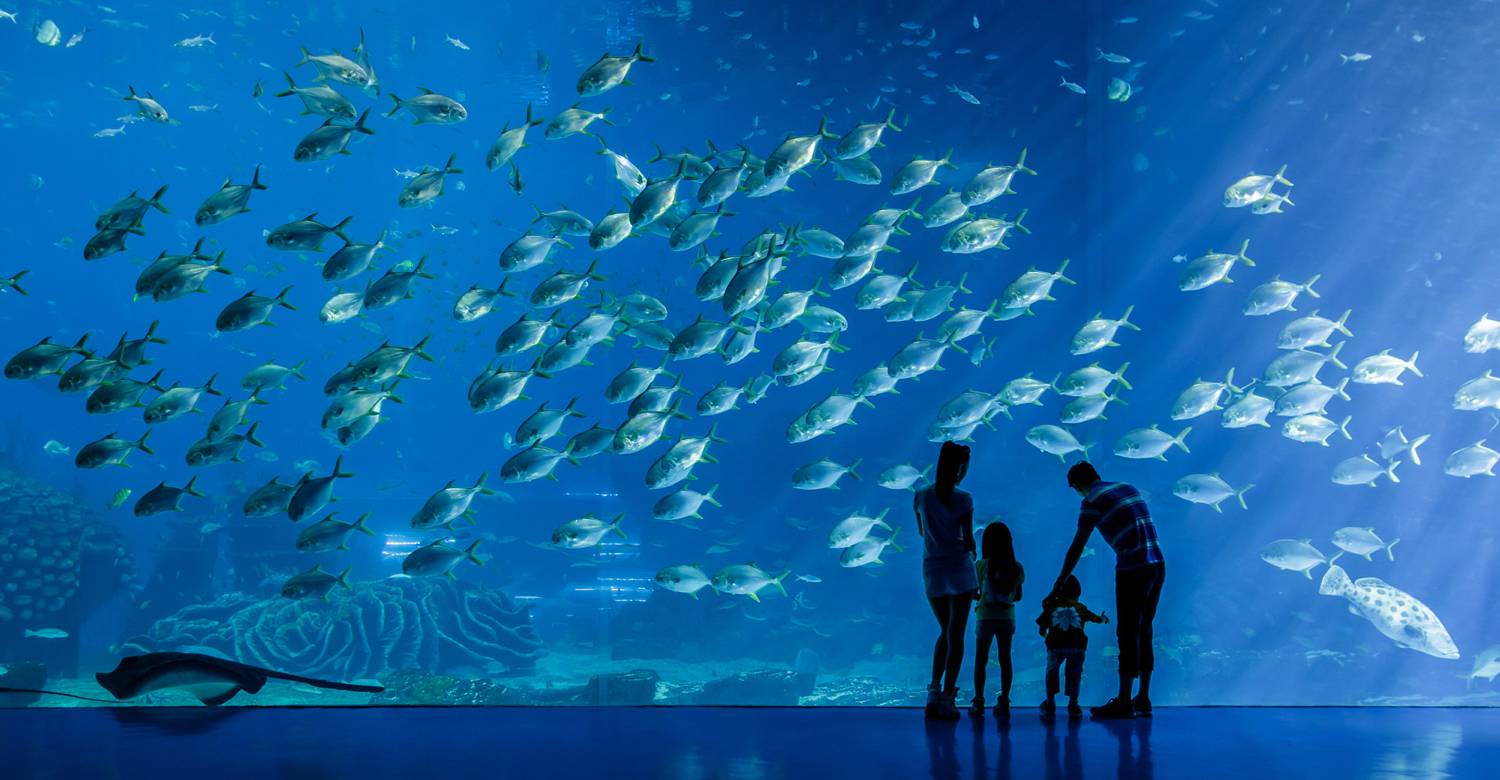 Marine Aquarium